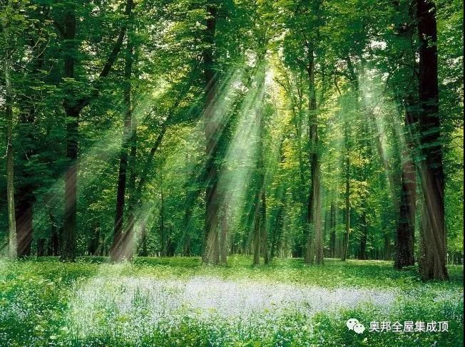 微信圖片_20191126094254